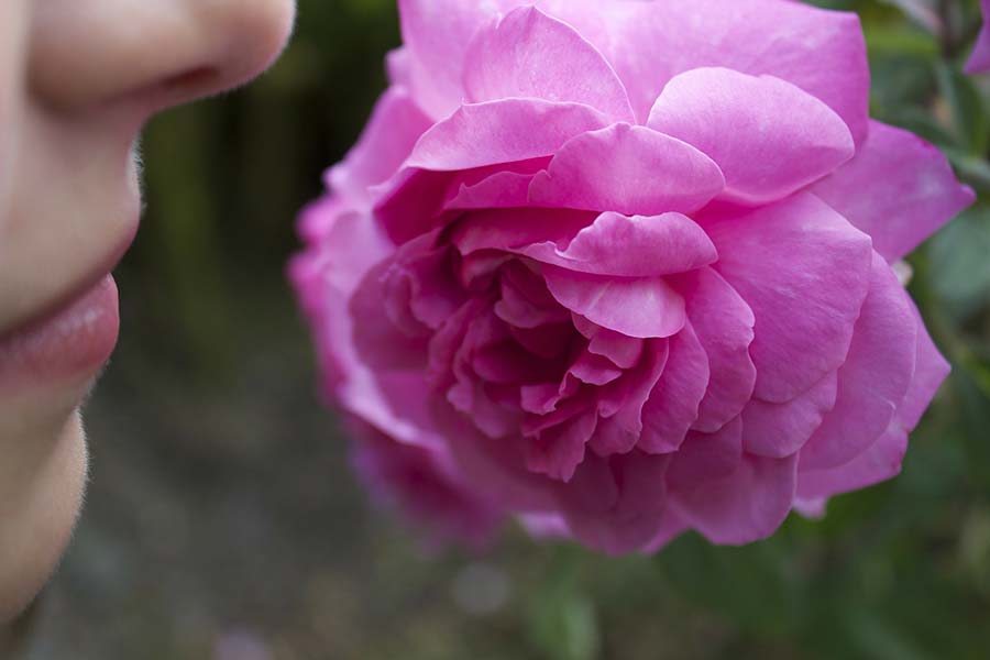 come scegliere il bouquet da sposa errori da evitare